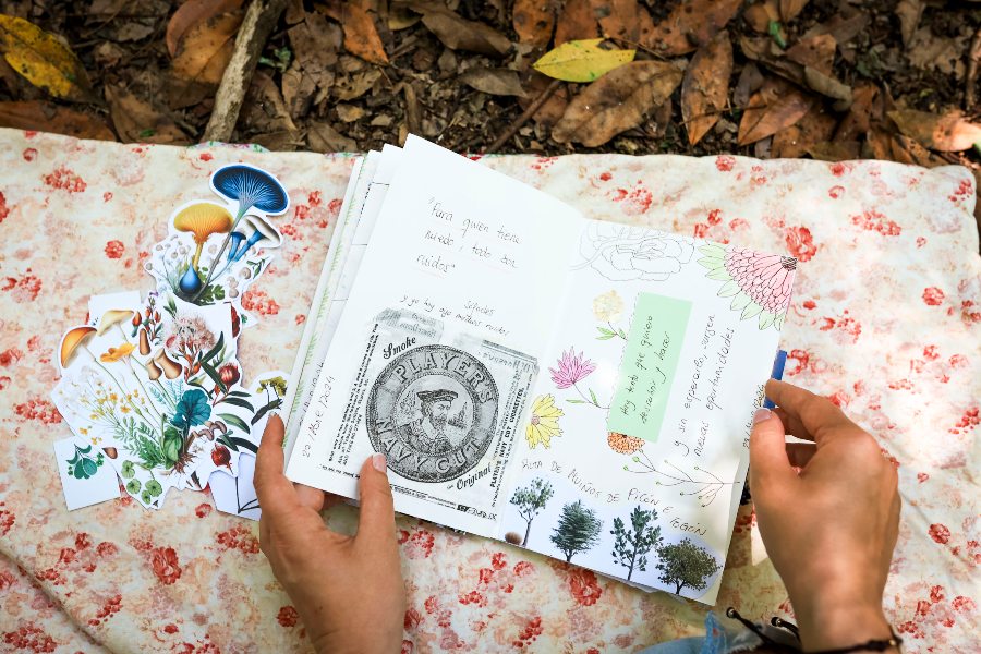 bolboreta-spanish-school-hero-curso-journaling-aprender-espanol-1